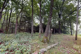 200 Osborn Knob Rd, Marion, NC 28752 - Photo 18