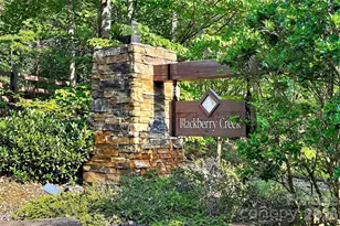 96 Boysenberry Dr, Nebo, NC 28761 - Photo 48