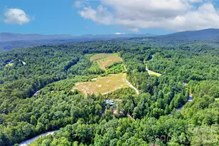 96 Boysenberry Dr, Nebo, NC 28761 - Photo 46