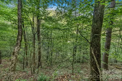 31 Caddis Court, Marshall, NC 28753 - Photo 4