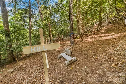 31 Caddis Court, Marshall, NC 28753 - Photo 6