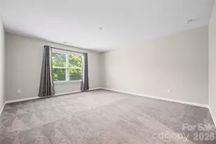 1008 Dorsey Dr, Fort Mill, SC 29715 - Photo 22