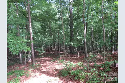 0 S Woodleaf Road, Forest City, NC 28043 - Photo 18