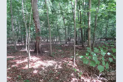 0 S Woodleaf Road, Forest City, NC 28043 - Photo 10