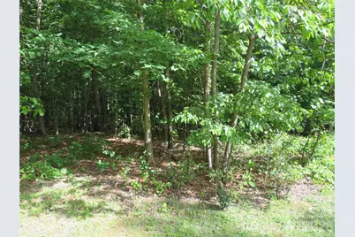 0 S Woodleaf Road, Forest City, NC 28043 - Photo 2