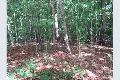 0 S Woodleaf Road, Forest City, NC 28043 - Photo 8