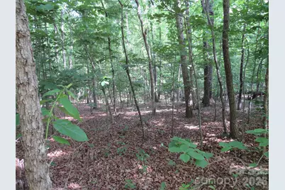 0 S Woodleaf Road, Forest City, NC 28043 - Photo 12