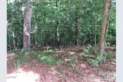 0 S Woodleaf Road, Forest City, NC 28043 - Photo 16