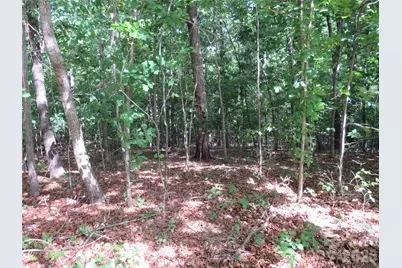 0 S Woodleaf Road, Forest City, NC 28043 - Photo 6
