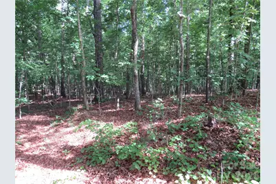0 S Woodleaf Road, Forest City, NC 28043 - Photo 20