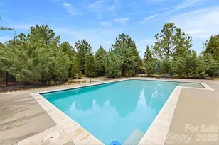 1009 Princessa Drive, Matthews, NC 28104 - Photo 38