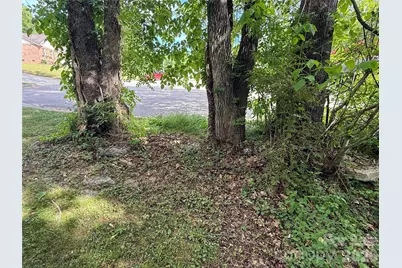 0 Azalea Lane, China Grove, NC 28023 - Photo 4