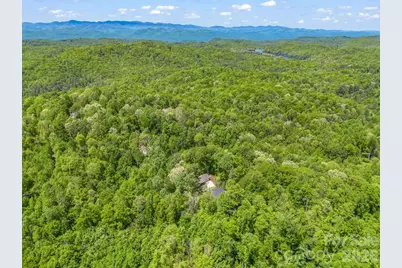 135 Half Moon Lane, Brevard, NC 28712 - Photo 42