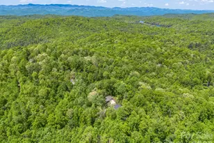 135 Half Moon Ln, Brevard, NC 28712 - Photo 42