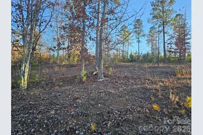 2167 Inlet Shore Road NE, Connelly Springs, NC 28612 - Photo 4