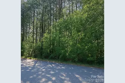 1243 Beechwood Drive, Newton, NC 28658 - Photo 4