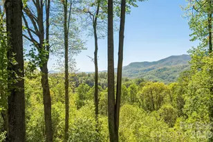 479 Old Dummy Line Rd, Balsam, NC 28707 - Photo 38