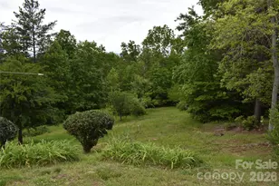 25 Triton Way, Old Fort, NC 28762 - Photo 32