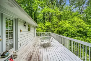 57 Tate Ln, Tryon, NC 28782 - Photo 42