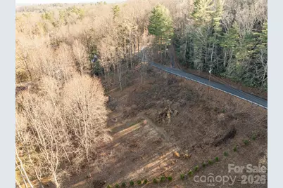 000 Davis Mountain Road, Laurel Park, NC 28739 - Photo 6
