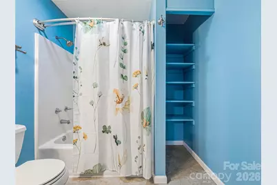 3 Mos Way, Candler, NC 28715 - Photo 28