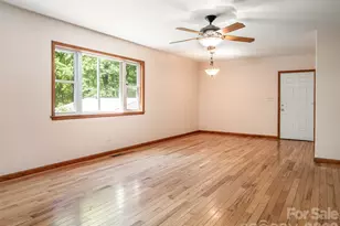 146 Fairmont Rd, Candler, NC 28715 - Photo 16