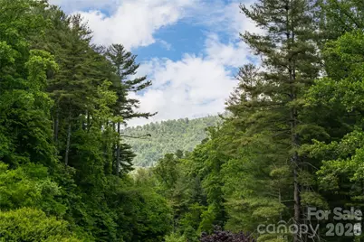44 Woodland Aster Way, Asheville, NC 28804 - Photo 20