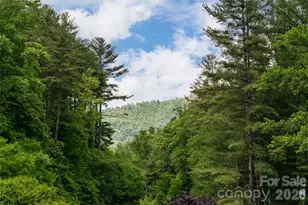 44 Woodland Aster Way, Asheville, NC 28804 - Photo 20