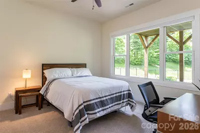 44 Woodland Aster Way, Asheville, NC 28804 - Photo 38