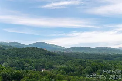 153 Mills Place, Asheville, NC 28804 - Photo 44