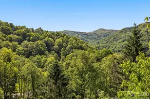 969 Mountain View Dr, Maggie Valley, NC 28751 - Photo 20