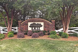 11703 Withers Mill Dr, Charlotte, NC 28278 - Photo 22
