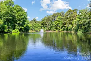 2240 Creek View Ct, Fort Mill, SC 29707 - Photo 40