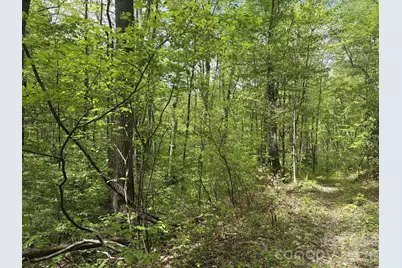 999999 Harwood Road #2, Barnardsville, NC 28709 - Photo 10