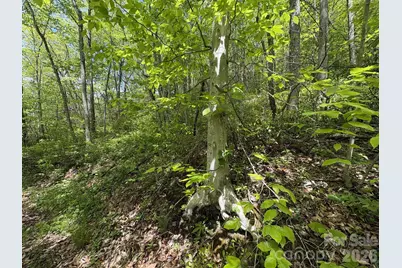 999999 Harwood Road #2, Barnardsville, NC 28709 - Photo 20