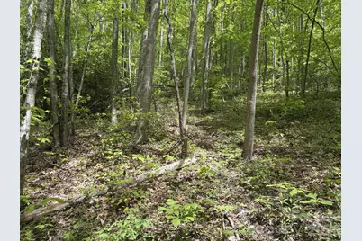 999999 Harwood Road #2, Barnardsville, NC 28709 - Photo 12