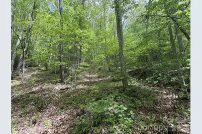 999999 Harwood Road #2, Barnardsville, NC 28709 - Photo 18