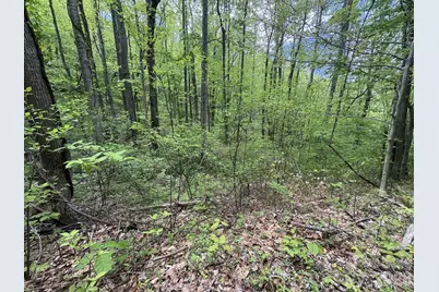 999999 Harwood Road #2, Barnardsville, NC 28709 - Photo 16