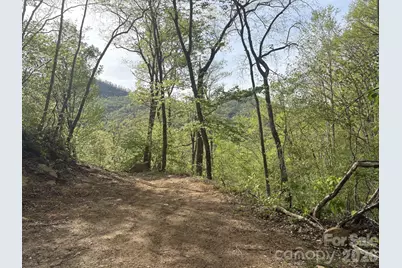 999999 Harwood Road #2, Barnardsville, NC 28709 - Photo 8