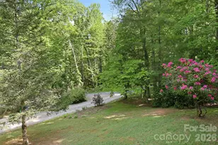 1 Mountain Heritage Pl, Candler, NC 28715 - Photo 44