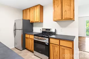 34 Wolfe Cove Rd, Asheville, NC 28804 - Photo 24
