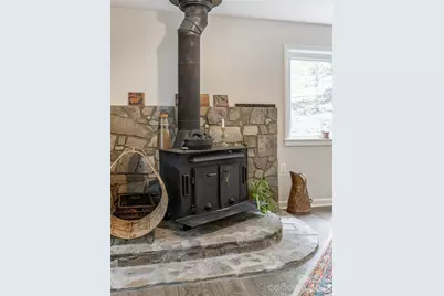 411 Patton Mountain Road, Asheville, NC 28804 - Photo 4