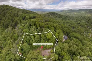 411 Patton Mountain Rd, Asheville, NC 28804 - Photo 32