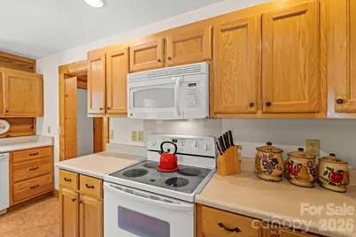 3341 Peniel Road, Tryon, NC 28782 - Photo 16