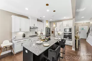 9527 Spurwig Ct, Charlotte, NC 28278 - Photo 10
