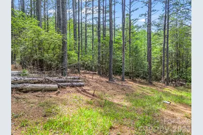 111 Cranberry Lane, Mooresboro, NC 28114 - Photo 4
