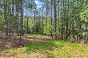 111 Cranberry Ln, Mooresboro, NC 28114 - Photo 1
