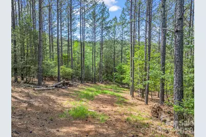 111 Cranberry Lane, Mooresboro, NC 28114 - Photo 2