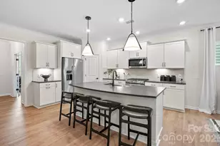 547 Cottage Gdn Ln, Charlotte, NC 28012 - Photo 6