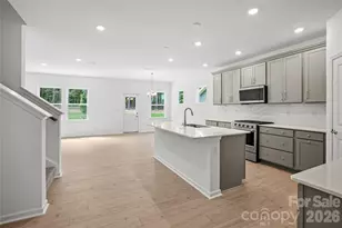 547 Cottage Gdn Ln, Charlotte, NC 28012 - Photo 6